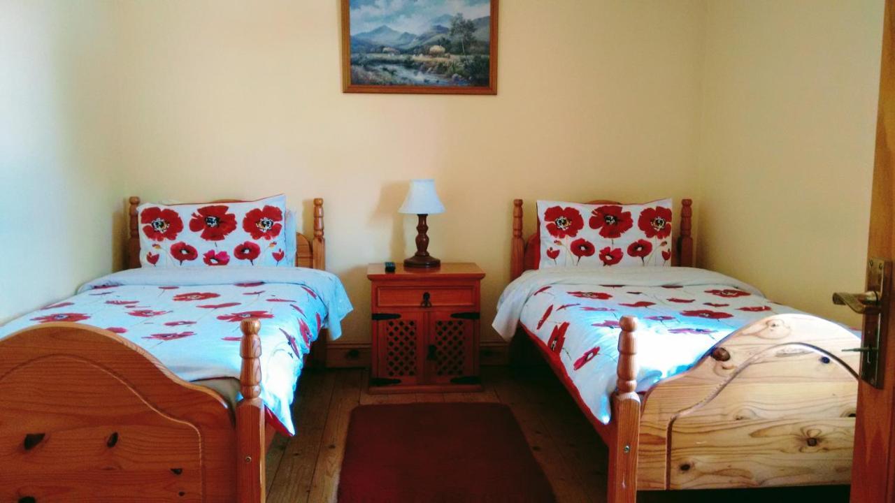 Bed and Breakfast Grannagh Castle House Waterford Exterior foto