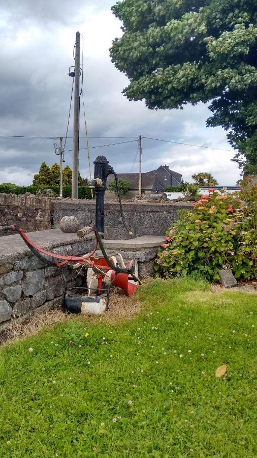 Bed and Breakfast Grannagh Castle House Waterford Exterior foto