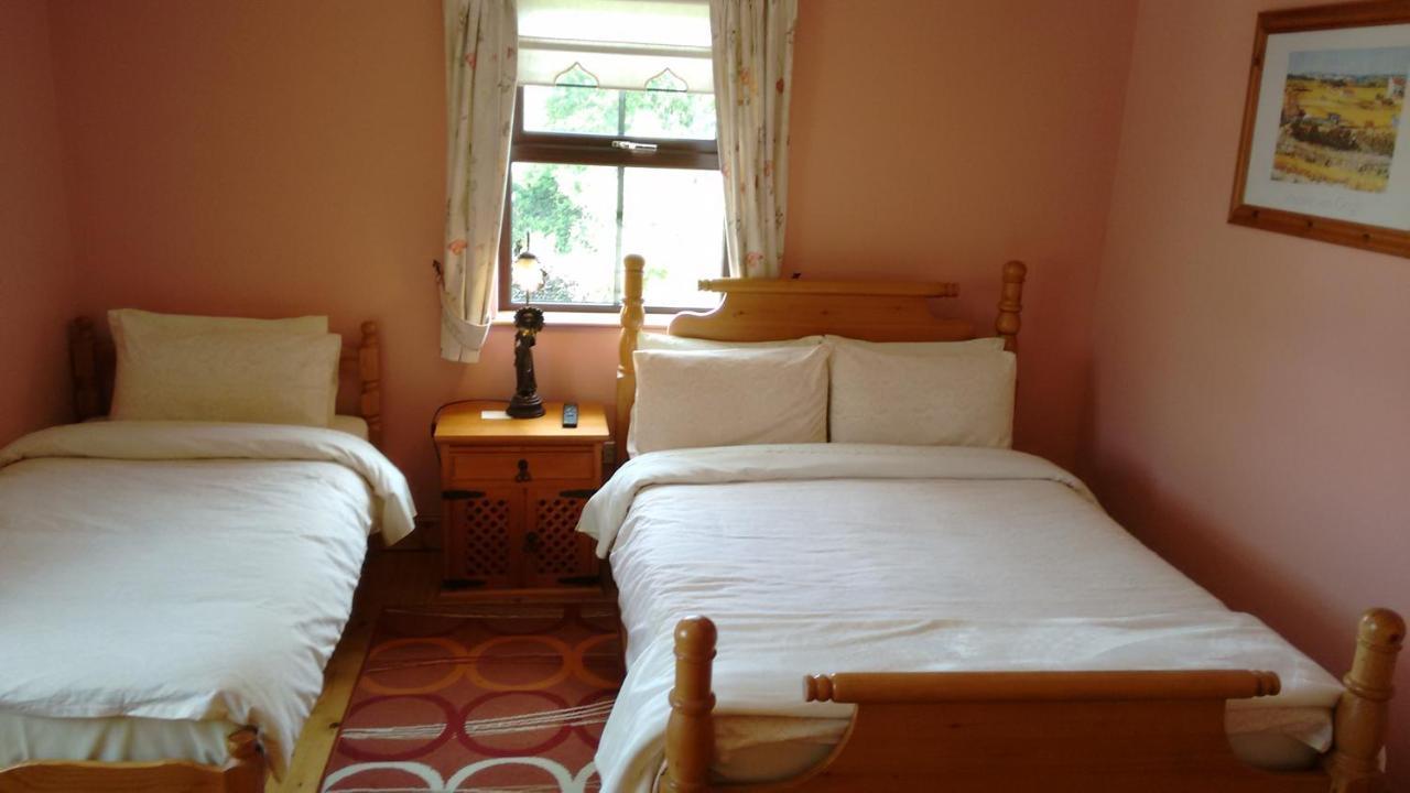 Bed and Breakfast Grannagh Castle House Waterford Exterior foto